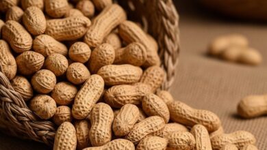 मूंगफली खाने के फायदे सर्दियों में सेहत और ऊर्जा के लिए जानें.