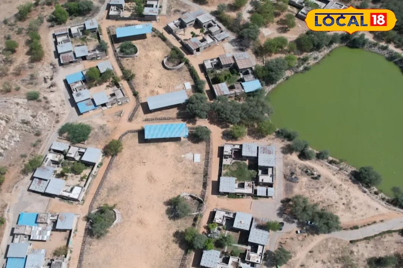 भारत का सबसे सुंदर हाथी गांव हैं जयपुर का हाथी गांव 