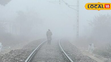 राजस्थान का मौसम: नए साल में ठंड का कहर! शेखावाटी में ओस बनी बर्फ, करौली में पारा 4.6°C, शीतलहर और बारिश का अलर्ट