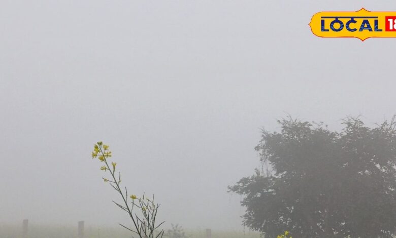 राजस्थान का मौसम: बारिश से भीगा अलवर, उदयपुर-जैसलमेर में बर्फ की चादर, शेखावाटी में भयंकर सर्दी, 8 जिलों में येलो अलर्ट