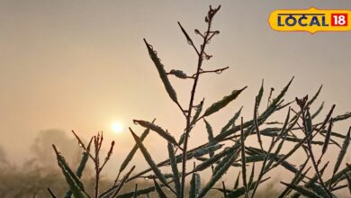 राजस्थान का मौसम: राजस्थान में अगले 48 घंटे भारी! कोहरे के चलते विजिबिलिटी शून्य, जयपुर समेत इन जिलों में कोल्ड डे का प्रकोप