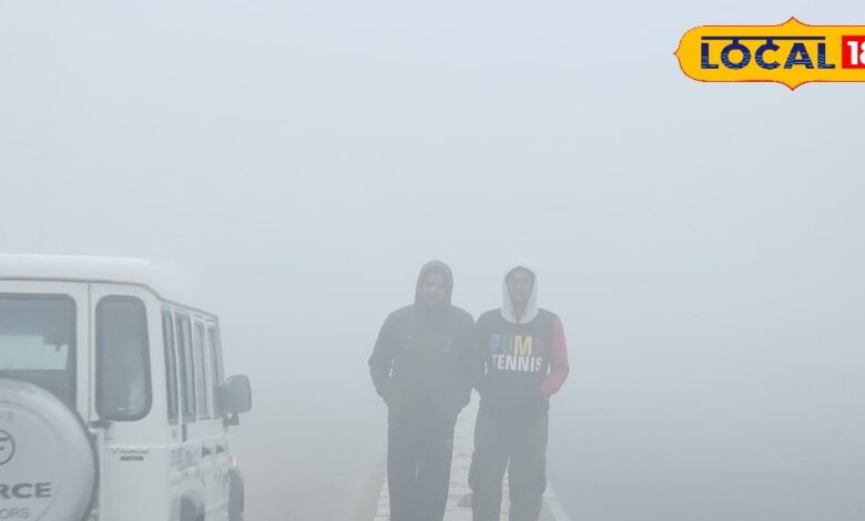 राजस्थान का मौसम: वेस्टर्न डिस्टरबेंस का असर! राजस्थान में पाला, घना कोहरा और शीतलहर से कांपा जनजीवन