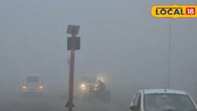 राजस्थान वेदर अपडेट: शीतलहर और कोहरे का अलर्ट