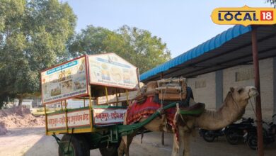 राष्ट्रीय ऊंट अनुसंधान केंद्र की अनोखी पहल, ऊंटगाड़ी से पर्यटक कर सकेंगे सैर, जानें क्या है मकसद