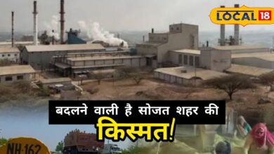 रीको लाएगा सोजत में नया ग्रीन औद्योगिक क्षेत्र, मेहंदी उद्योग और स्वरोजगार को मिलेगा बड़ा विस्तार!