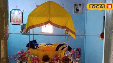 लाल पत्थर, शेर की आकृति और गुरु की कथा, धौलपुर का शेर शिकार गुरुद्वारा क्यों है इतना खास