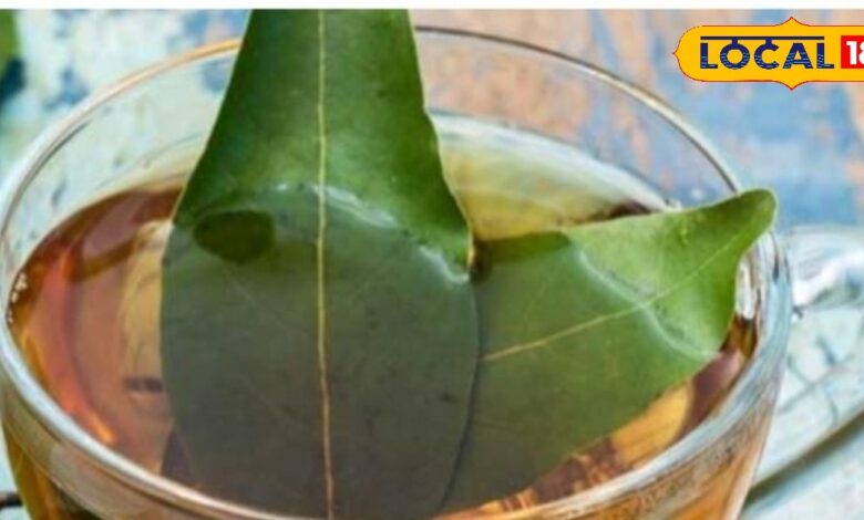 वजन घटाना हो या बल्ड शुगर को करना हो कंट्रोल, शरीर की A टू Z बीमारियों पर रामबाण है तेज पत्ते की चाय..यहां जानिए बनाने का तरीका - Uttarakhand News