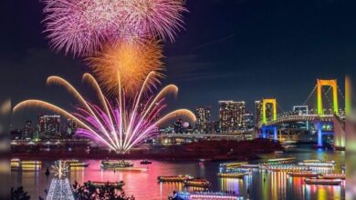 वेलकम 2026... नए साल का दुनिया ने कैसे किया स्वागत, वीडियो में देखें