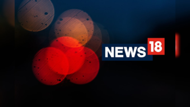 सनी देओल ने क्यों की बॉर्डर? पापा धर्मेंद्र से है खास कनेक्शन, याद कर बोले- सोचा था करूंगा जरूर