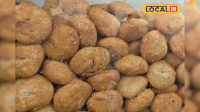 सर्दियों की शुरुआत में कोटा की कचोरी ने लुभाया शहर, गरमा-गरम स्वाद से भर गया हर सुबह!