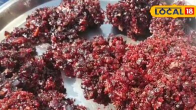 सर्दियों में ढाक गोंद के लड्डू: फायदे और बनाने की विधि