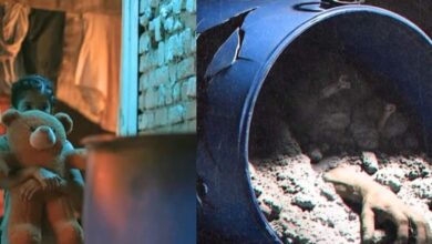 सोनम के प्यार में राजा की मौत, 5 शादियों की रोंगटे खड़े करने वाली सच्चाई, 'हनीमून से हत्या' के टीजर ने दहलाया