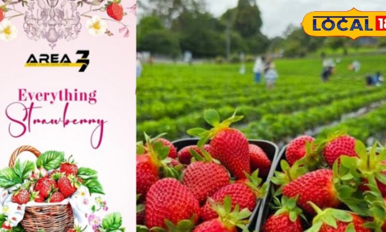 हैदराबाद एवरीथिंग स्ट्रॉबेरी फेस्टिवल 2026 | Everything Strawberry Festival Hyderabad Area 77