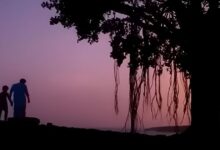 1 नाम, 2 फिल्में: पिता को मिली थी 'फेल्ड प्रोड्यूसर' की संज्ञा, बेटे ने 22 साल बाद वही टाइटल बना दिया धाकड़ हिट