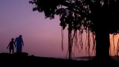 1 नाम, 2 फिल्में: पिता को मिली थी 'फेल्ड प्रोड्यूसर' की संज्ञा, बेटे ने 22 साल बाद वही टाइटल बना दिया धाकड़ हिट