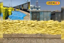 नागौर यूरिया खाद वितरण समाचार | Nagaur Merta City Urea Rake Arrival News