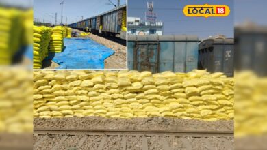 नागौर यूरिया खाद वितरण समाचार | Nagaur Merta City Urea Rake Arrival News