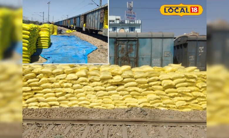 नागौर यूरिया खाद वितरण समाचार | Nagaur Merta City Urea Rake Arrival News