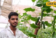 Agri Entrepreneur Ajay Rain | पॉलीहाउस खेती से 20 लाख की कमाई | Success Story of Farmer Ajay Rain Bikaner