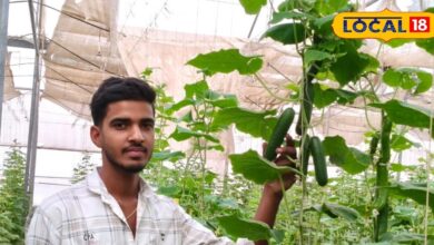 Agri Entrepreneur Ajay Rain | पॉलीहाउस खेती से 20 लाख की कमाई | Success Story of Farmer Ajay Rain Bikaner