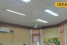 Date Palm Farming Bikaner | बीकानेर में खजूर की खेती और ऑफशूट प्लांटिंग तकनीक | Date Palm Farming in Bikaner Rajasthan