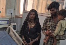 अजमेर में कुत्ते ने बच्चे को उठाया