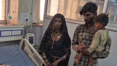 अजमेर में कुत्ते ने बच्चे को उठाया