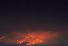 सात दिन से धधक रहा कुंभलगढ़ अभयारण्य! 50 हेक्टेयर जंगल जलकर खाक, वन्यजीवों पर संकट