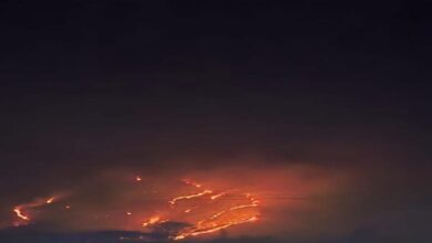 सात दिन से धधक रहा कुंभलगढ़ अभयारण्य! 50 हेक्टेयर जंगल जलकर खाक, वन्यजीवों पर संकट