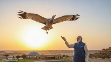 PM मोदी ने की जैसलमेर के गोडावण संरक्षण की तारीफ! सम-रामदेवरा सेंटर से बढ़ी उम्मीद, 79 तक पहुंची संख्या