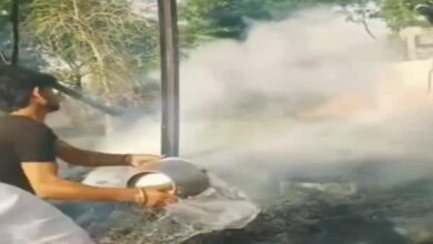 देखते ही देखते सब राख! धू-धू कर जला छप्परपोश, आंखों के सामने तड़पकर मर गई 6 बकरियां, बचाने गई किशोरी झुलसी