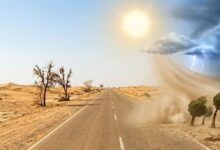 Rajasthan Weather Update | Rajasthan District Wise Temperature | IMD Alert | IMD Weather Update