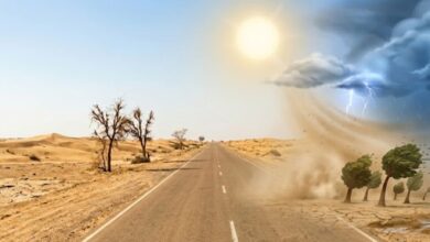 Rajasthan Weather Update | Rajasthan District Wise Temperature | IMD Alert | IMD Weather Update