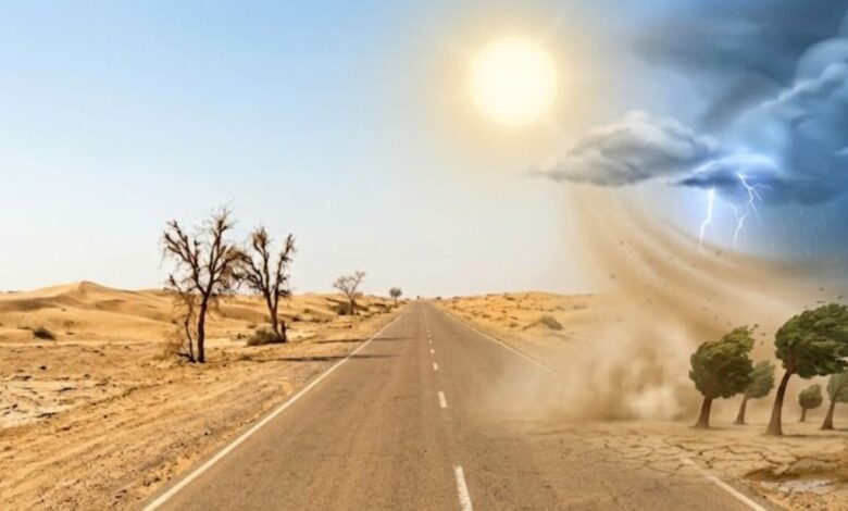 Rajasthan Weather Update | Rajasthan District Wise Temperature | IMD Alert | IMD Weather Update