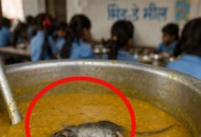 स्कूल की रसोई से निकली डराने वाली तस्वीर, मिड-डे मील की दाल से मरा चूहा मिला!