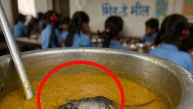 स्कूल की रसोई से निकली डराने वाली तस्वीर, मिड-डे मील की दाल से मरा चूहा मिला!