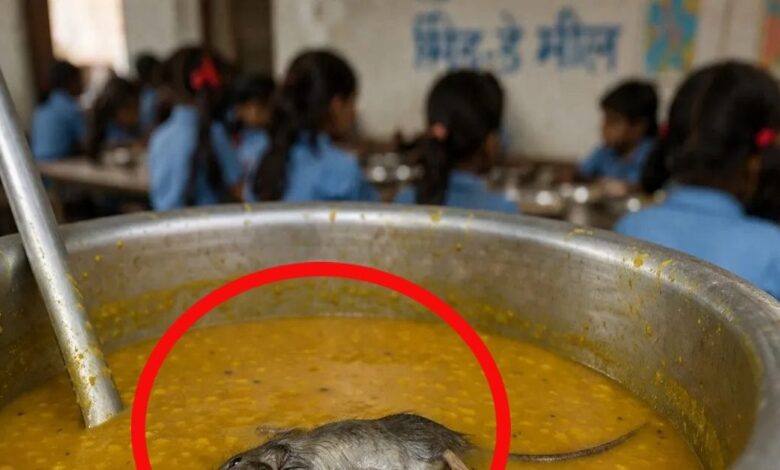 स्कूल की रसोई से निकली डराने वाली तस्वीर, मिड-डे मील की दाल से मरा चूहा मिला!