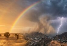 Rajasthan Weather Update | Rajasthan District Wise Temperature | IMD Alert | IMD Weather Update | Rajasthan IMD Weather Update