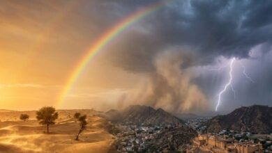 Rajasthan Weather Update | Rajasthan District Wise Temperature | IMD Alert | IMD Weather Update | Rajasthan IMD Weather Update