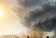 Rajasthan Weather Update | Rajasthan District Wise Temperature | IMD Alert | IMD Weather Update