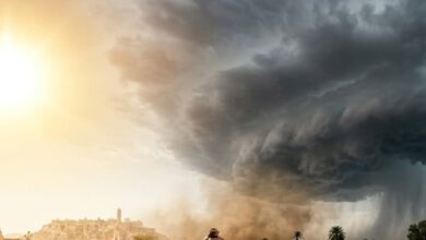 Rajasthan Weather Update | Rajasthan District Wise Temperature | IMD Alert | IMD Weather Update