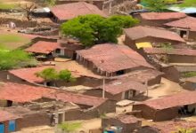 100 लीटर दूध क्यों न हो, शनिवार को नहीं बेच सकते... कच्चे घर, पक्के नियम; एकदम अनोखा है राजस्थान का देवमाली गांव!