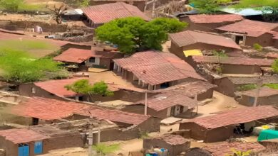 100 लीटर दूध क्यों न हो, शनिवार को नहीं बेच सकते... कच्चे घर, पक्के नियम; एकदम अनोखा है राजस्थान का देवमाली गांव!