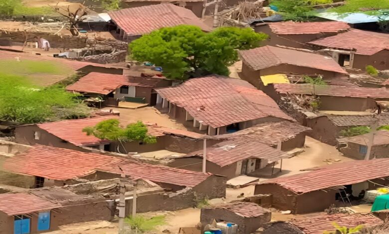 100 लीटर दूध क्यों न हो, शनिवार को नहीं बेच सकते... कच्चे घर, पक्के नियम; एकदम अनोखा है राजस्थान का देवमाली गांव!