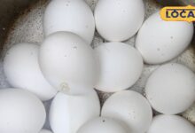 43 डिग्री तापमान में अंडा खाना नुकसानदायक या फायदेमंद? डॉक्टर ने बताया पूरा सच