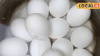 43 डिग्री तापमान में अंडा खाना नुकसानदायक या फायदेमंद? डॉक्टर ने बताया पूरा सच