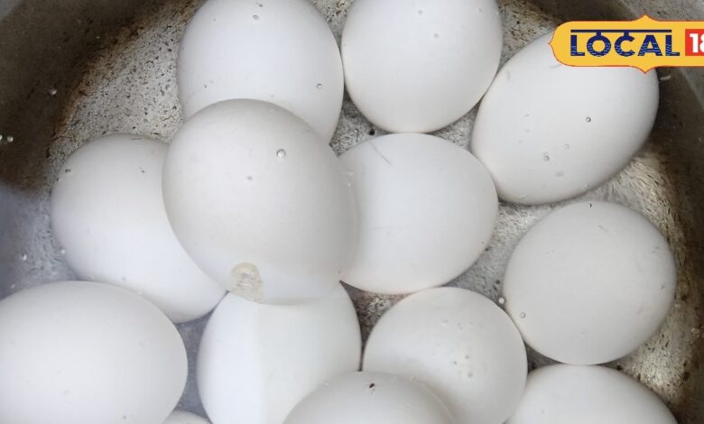 43 डिग्री तापमान में अंडा खाना नुकसानदायक या फायदेमंद? डॉक्टर ने बताया पूरा सच