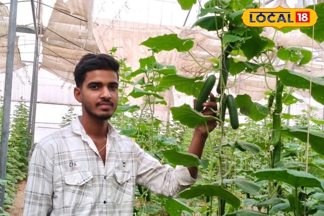 बीकानेर के अजय रैण ने खीरे से कमाया 20 लाख का मुनाफा