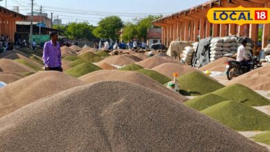 Agriculture News: नागौर मंडी में बड़ा उलटफेर! सौंफ-जीरा के दाम आसमान पर, सरसों-चना ने बढ़ाई किसानों की टेंशन