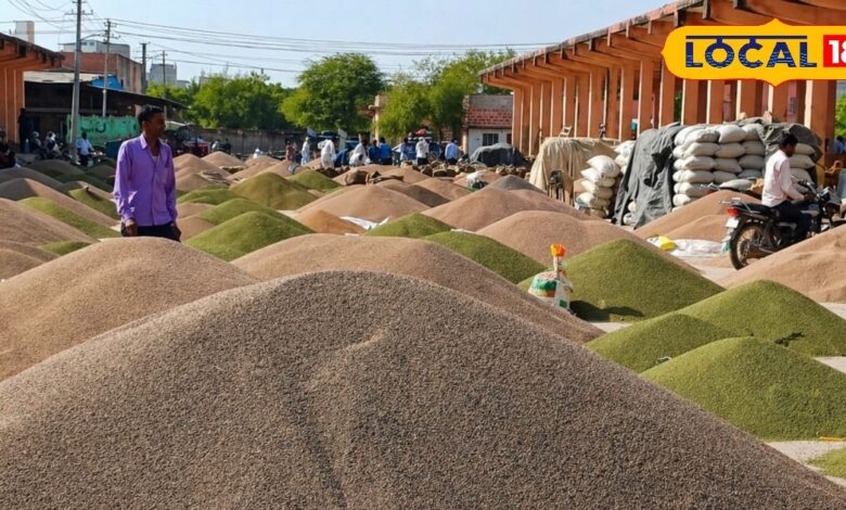 Agriculture News: नागौर मंडी में बड़ा उलटफेर! सौंफ-जीरा के दाम आसमान पर, सरसों-चना ने बढ़ाई किसानों की टेंशन